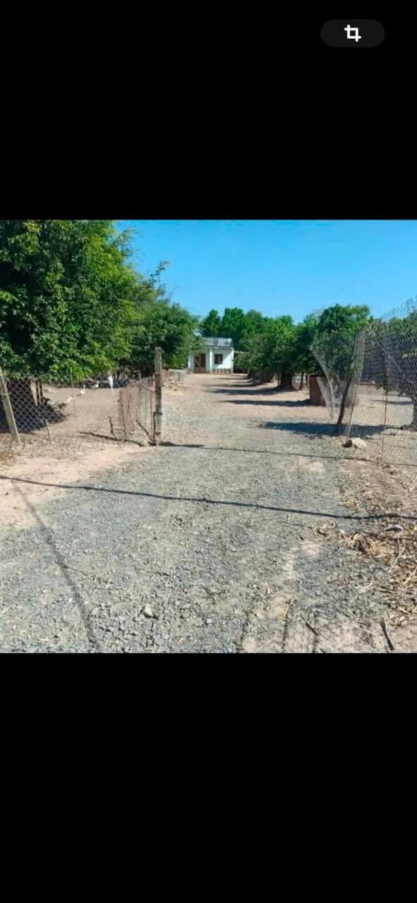 Đất nền xã Long Mỹ, Đất Đỏ 4859m² - Vị trí đắc địa, giá thỏa thuận!