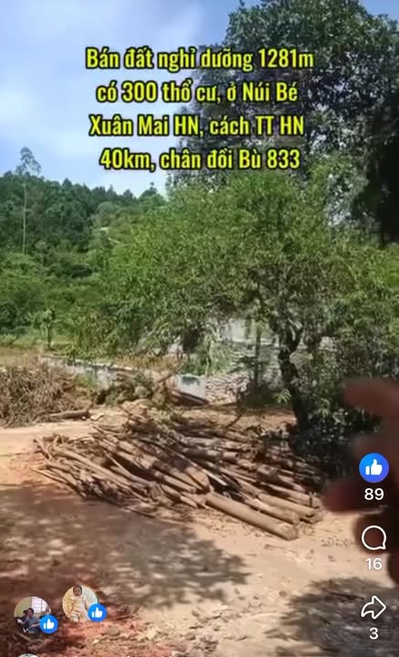 Lô đất 1281m² tại Nam Phương Tiến, Chương Mỹ - Giá chỉ 4.8 triệu/m², pháp lý rõ ràng!