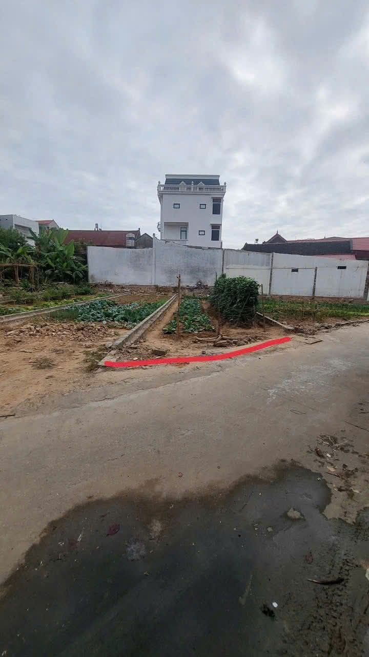 Đất thổ cư Hiệp Hòa Bắc Giang 99m² giá 1 tỷ - Vị trí thuận lợi gần trung tâm!