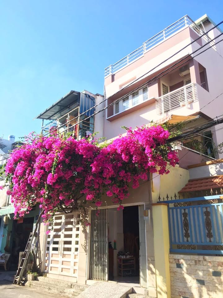 Nhà thuê mặt tiền đường Hoàng Xuân Hoành, quận Tân Phú - Thích hợp kinh doanh và ở ngay!