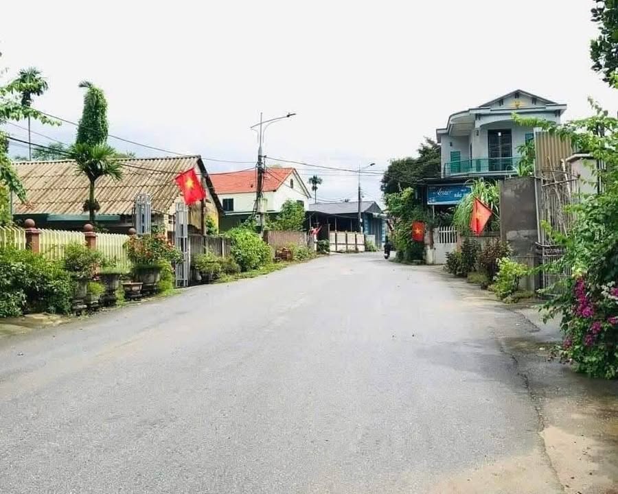 Đất nền khu 5, xã Thanh Minh, TX Phú Thọ 100m² - Đầu tư sinh lời hấp dẫn!