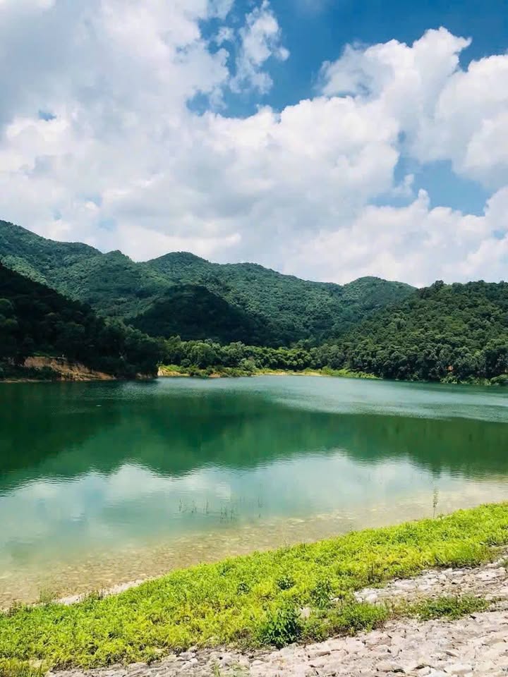 Đất Farm 3000m² tại Minh Phú, Sóc Sơn - Giá 24 tỷ - Cơ hội đầu tư lý tưởng!