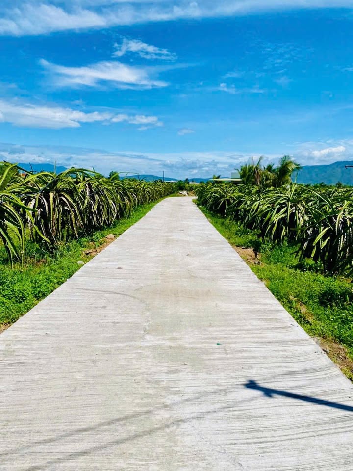 Đất nền phường Bình Thuận 1500m² giá 453.6 triệu - Phù hợp xây dựng nghỉ dưỡng!