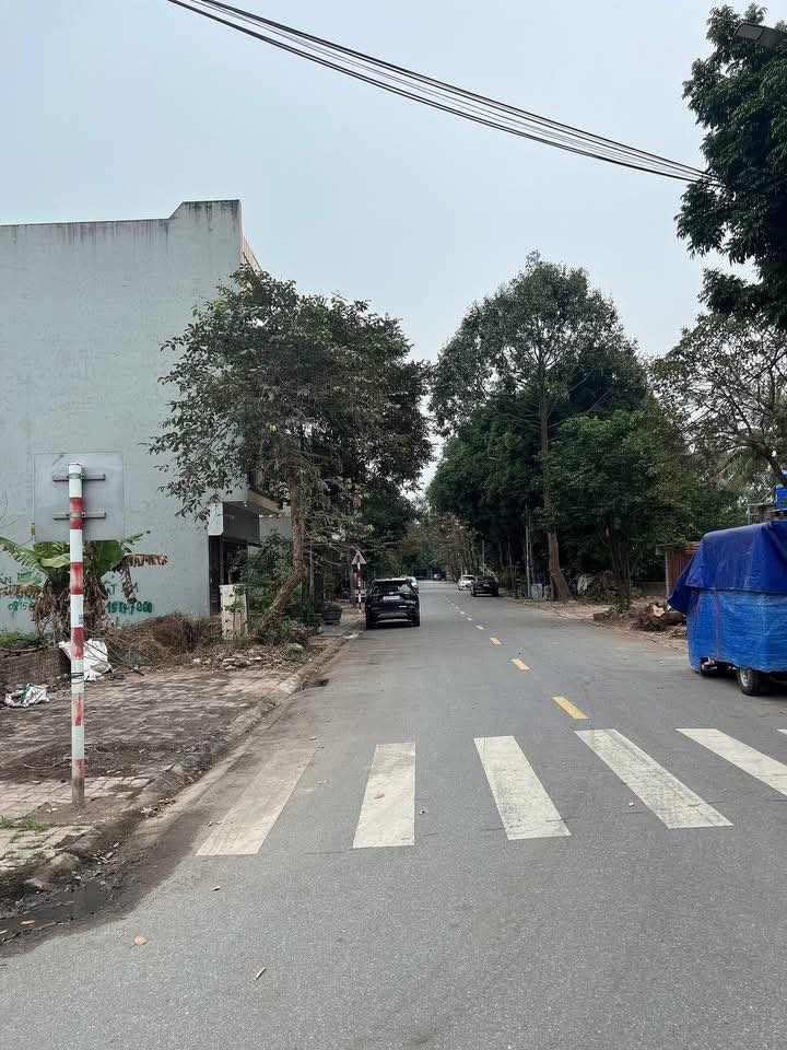 Bán nhà đường Trần Nhật Duật, Phường Phố Hiến, 104.2m² - Hướng Nam, giá 7 tỷ!