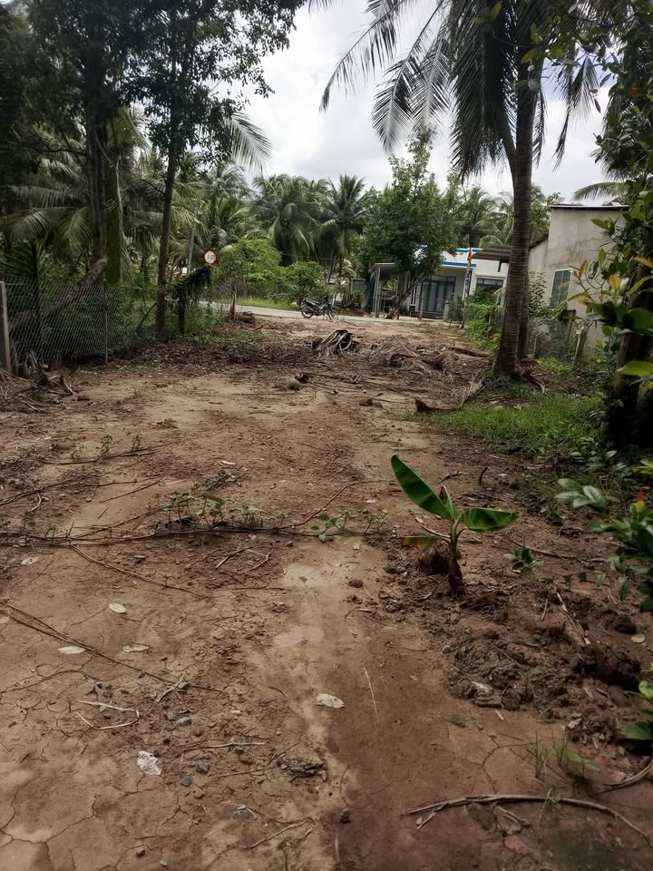 Đất nền Hòa Định Chợ Gạo 280m² giá 550 triệu - Đầu tư sinh lời lý tưởng!