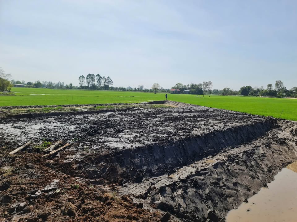 Đất nền Long Thắng Lai Vung 750m² giá 280 triệu - Mặt tiền 19m siêu đẹp!