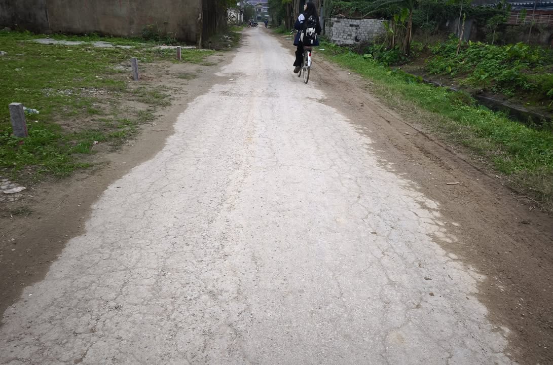 Đất mặt đường Nam Liên, Nghi Liên 93.4m² giá 2.xx tỷ - Vị trí đắc địa đầu tư sinh lời!