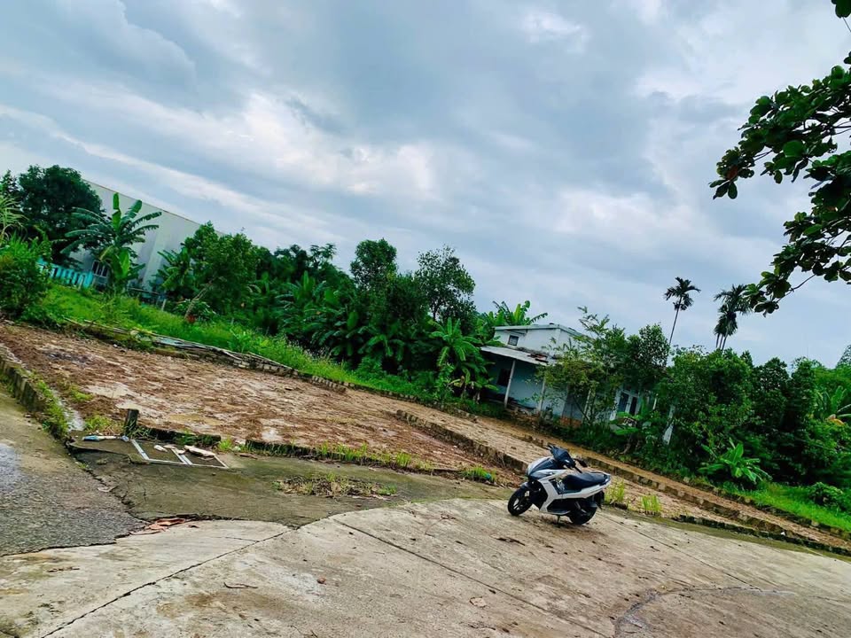 Đất nền Hòa Tiến Đà Nẵng 400m² - Chính chủ bán gấp 3 lô liền kề!