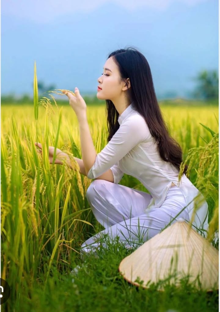 Đất Láng Biển Tháp Mười 32.000m² giá 5.76 tỷ - Mặt tiền 32m, sông Cần Lúa trước đất!