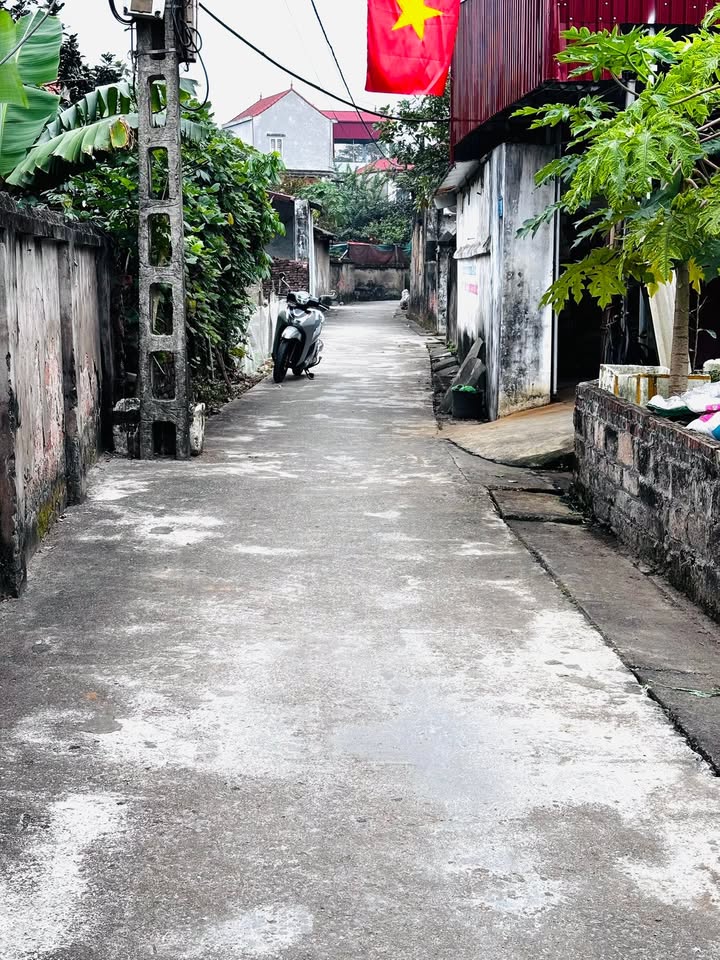 Đất thổ cư Vân Từ 62.5m² giá 2 tỷ - Đường ô tô thông thoáng, tiềm năng phát triển!