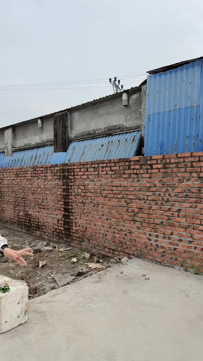 Đất nền Hoa Động, Thủy Nguyên, Hải Phòng 54m² - Vị trí đắc địa, giá cực tốt!