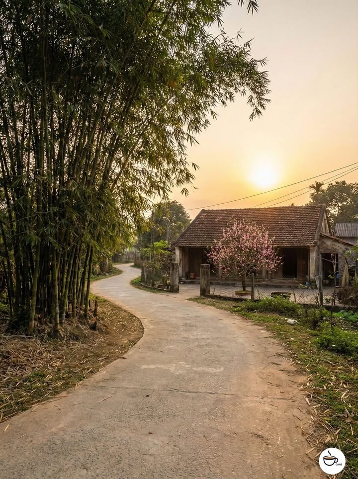 Đất nền sát biển Bình Minh 133m² giá 1.69 tỷ - Cơ hội vàng đầu tư!