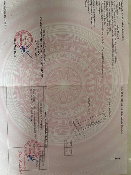 Đất nền lô góc 135m² mặt đường Trục thôn Ắn, Tiên Lãng - Giá chỉ 1 tỷ!