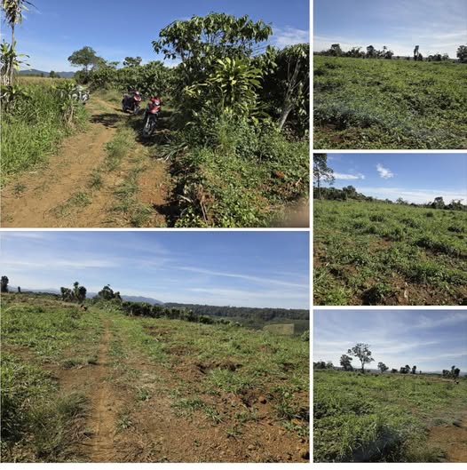 Lô đất 4 sào Lộc Tân, Bảo Lâm - Giá chỉ 1.3 tỷ, Đường ô tô vào tận nơi!