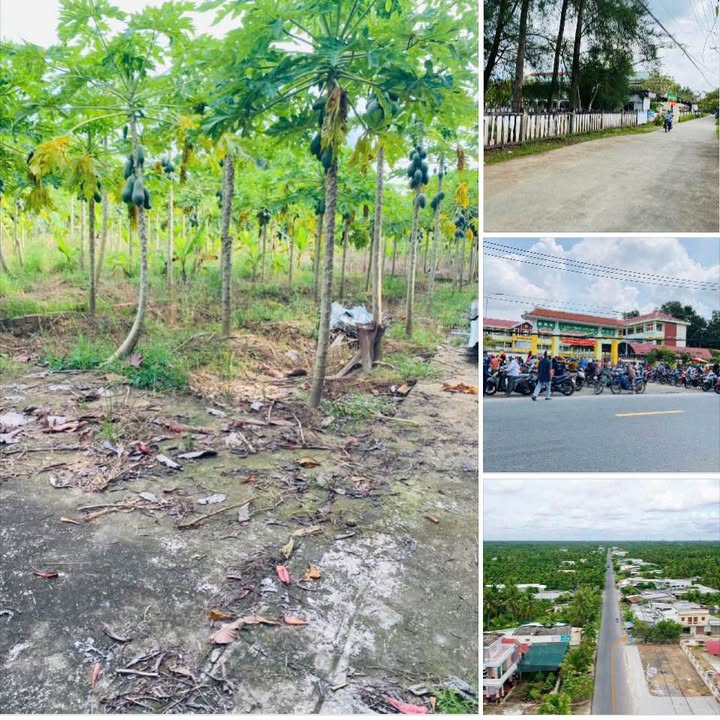 Đất nền góc 2 mặt đường An Khánh 100m² giá 550 triệu - Sổ hồng chính chủ!