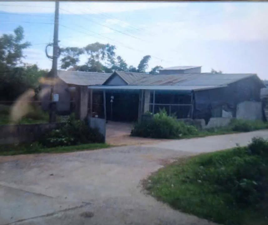 Nhà cấp 4 Đồng Chum Đà Bắc 600m² giá chỉ 450 triệu - Đầu tư sinh lời ngay!