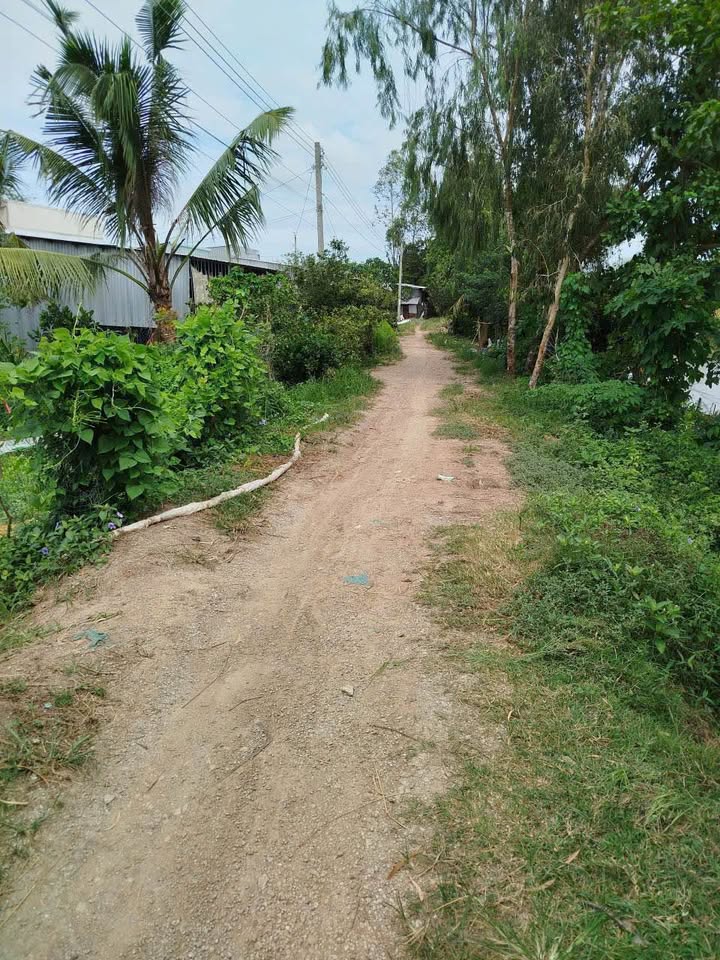 Đất vườn 28 công tại xã Định Mỹ, Thoại Sơn - Giá 130 triệu/công - Cơ hội đầu tư tuyệt vời!