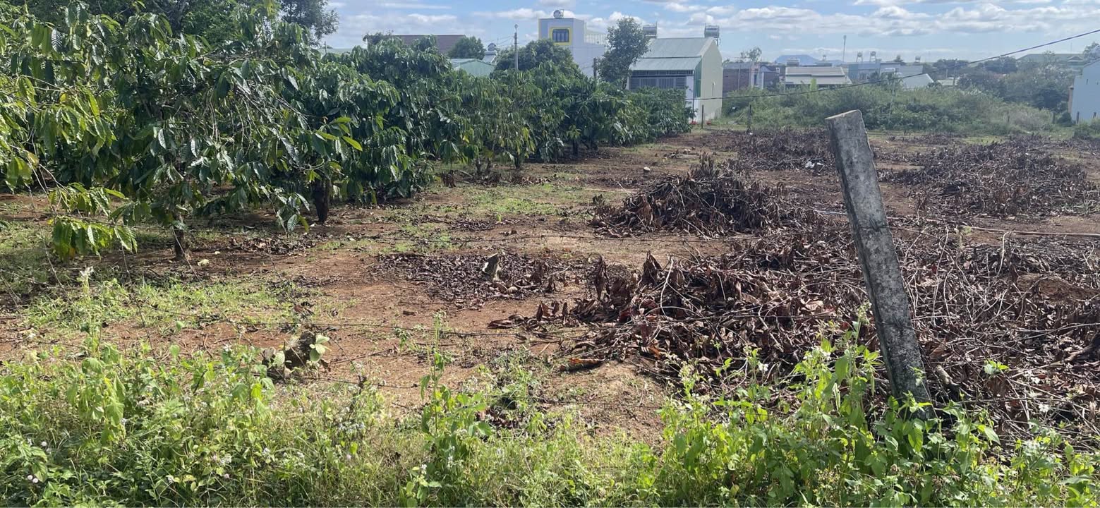 Bán đất hẻm 34 đường Ký Con, Pleiku 117m² giá 800 triệu - Đất ở chính chủ