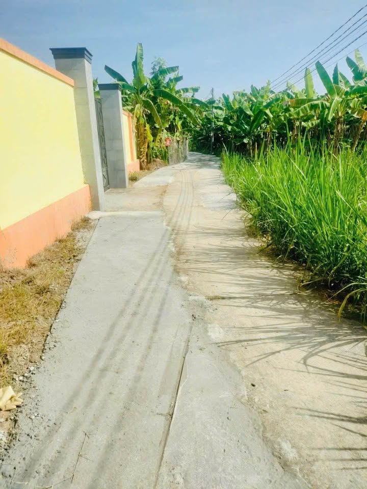 Đất nền Bình Tâm Tân An 198m² giá 790 triệu - Cơ hội đầu tư sinh lời cao!