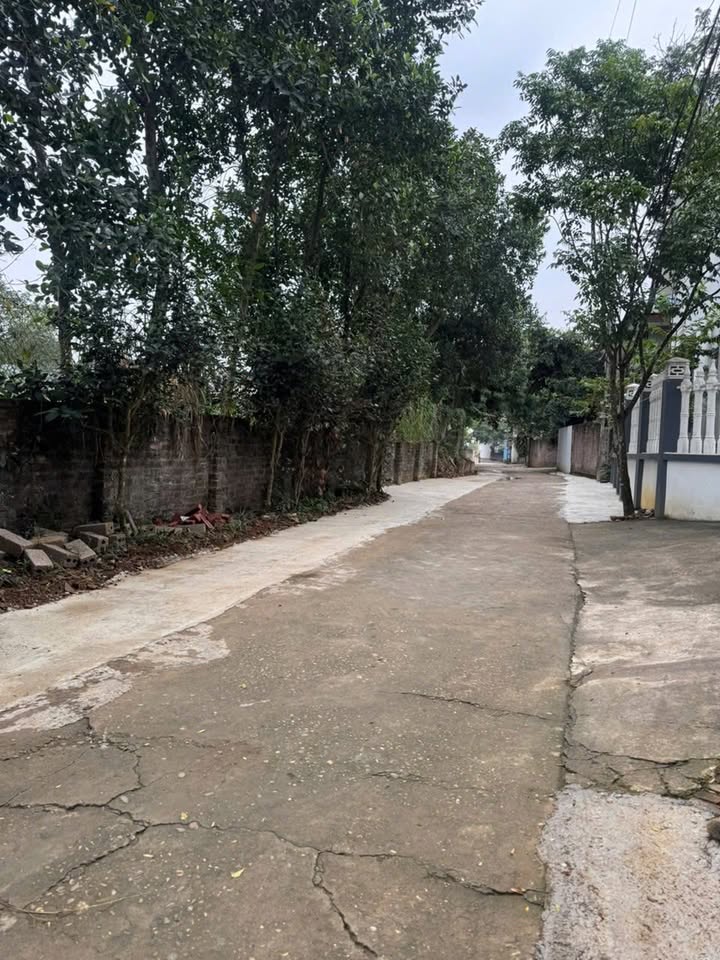 Đất đô thị phường Tùng Thiện 1100m² giá 10 tỷ - Đầu tư sinh lời hấp dẫn!