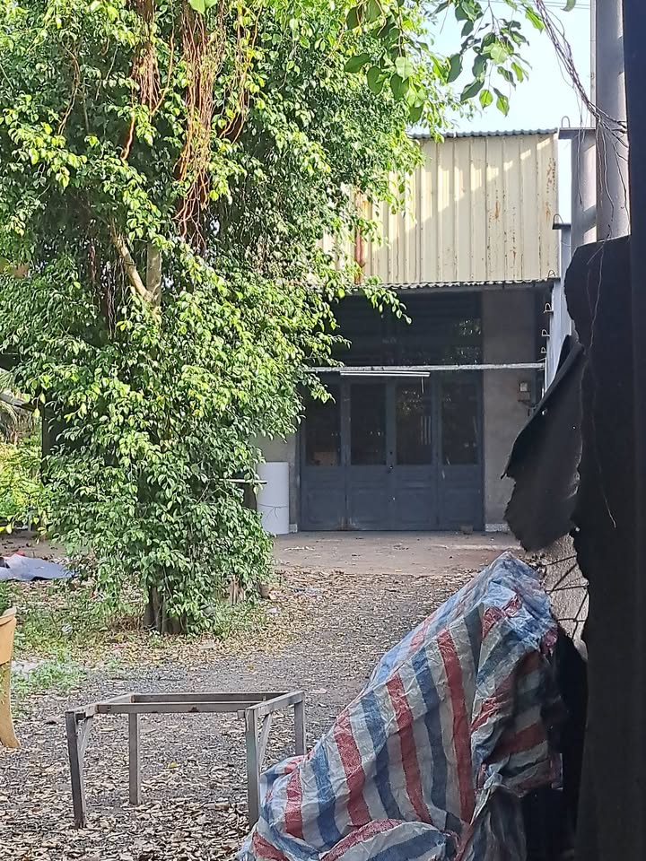 Nhà cấp 4 mặt tiền Trịnh Quang Nghị, xã Phong Phú 200m² giá 450 triệu - Cơ hội đầu tư tuyệt vời!