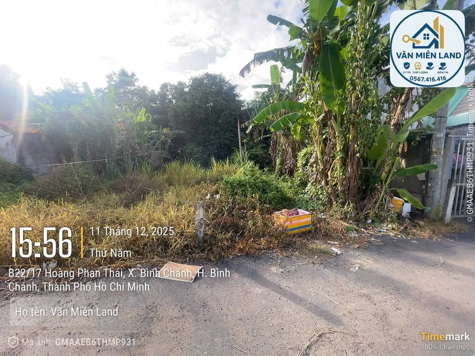 Đất thổ cư 133m² Hoàng Phan Thái, xã Bình Chánh - Giá 4 tỷ, thương lượng