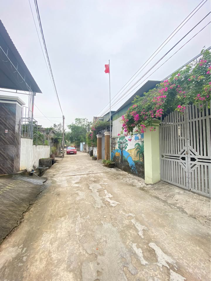 Đất thổ cư Yên Thành 161m² giá chỉ 1 tỷ - Cơ hội đầu tư tuyệt vời!