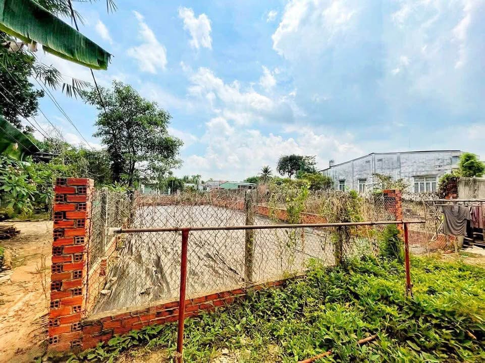 Đất nền Tam Hạp, Châu Thành, Tây Ninh 250m² - Đầu tư sinh lời tốt!