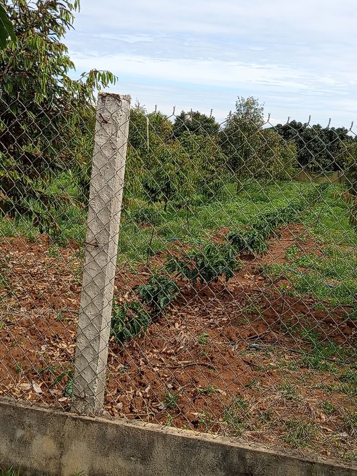 Đất mặt tiền đường Triệu Việt Vương, xã Da Hiệp, 1200m² - Đầu tư sinh lời ngay!