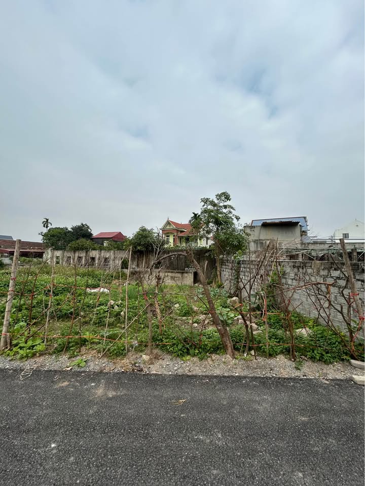 Đất nền Duy Tiên 120m² giá thỏa thuận - Vị trí kinh doanh đắc địa!