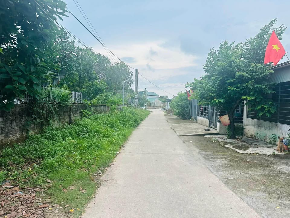 Đất nền góc Ninh Dương Móng Cái 80m² giá chỉ 1 tỷ - Cơ hội đầu tư tuyệt vời!