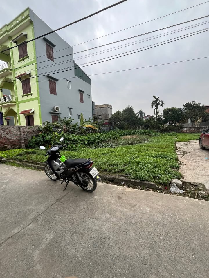 Đất thổ cư thôn Ngọc Cục, Bình Giang, 229m² giá 1 tỷ - Đầu tư tuyệt vời!