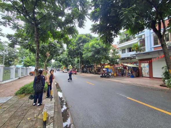 Đất Trường Lâm - Đức Giang 54m² giá 8 tỷ - Ô tô vào tận đất, pháp lý chuẩn!