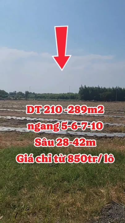 Đất nền mặt tiền nhựa xã Đất Đỏ, Bà Rịa - Vũng Tàu, diện tích từ 210m², giá chỉ từ 850 triệu - Đầu tư sinh lời ngay!