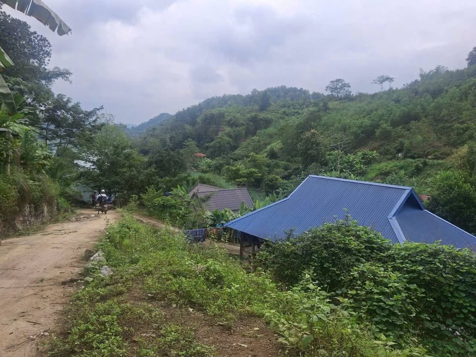 Đất Farm Ngòi Hoa Tân Lạc 1046m² giá 1 tỷ - Sở hữu ngay view hồ Hòa Bình tuyệt đẹp!