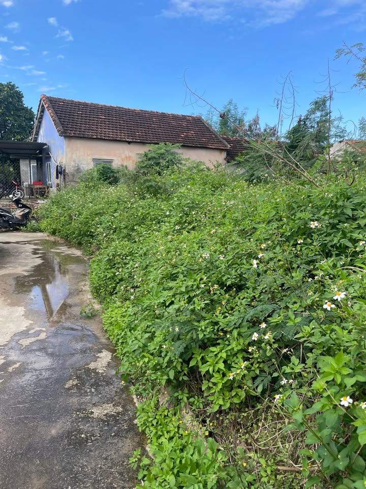 Đất thổ cư 120m² Phước Lâm, Hòa Hiệp chỉ 950 triệu - Cơ hội đầu tư sinh lời!