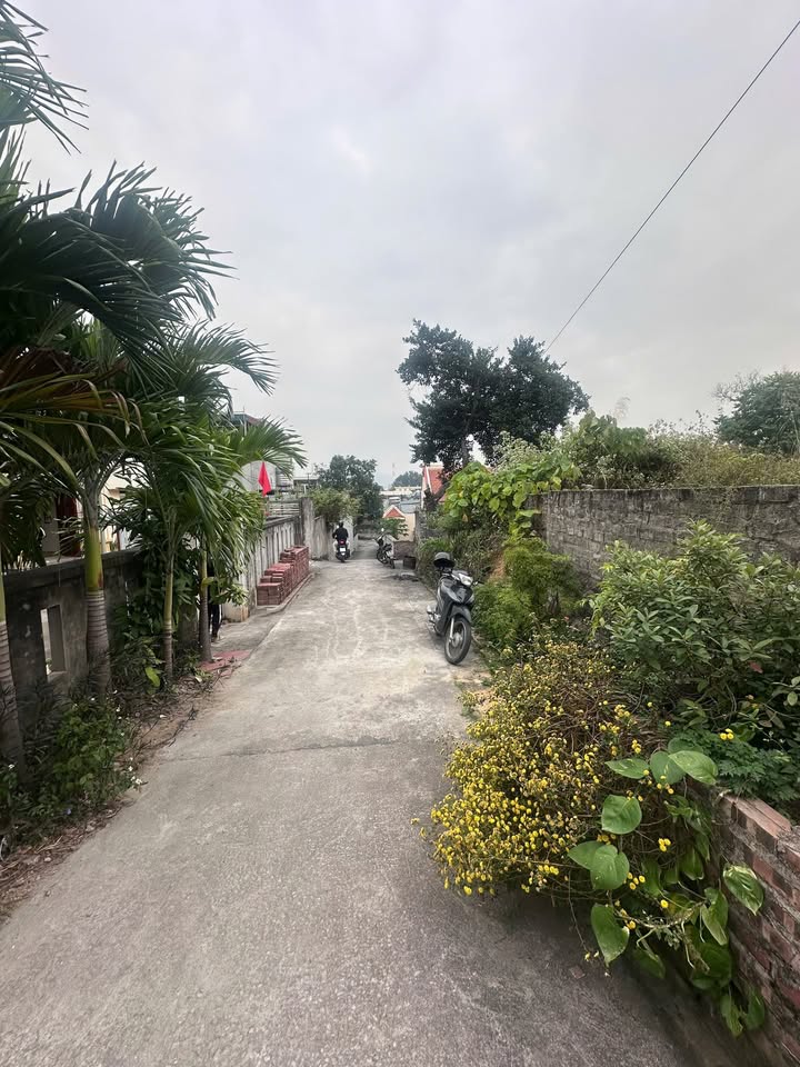 Đất nền Thanh Sơn Uông Bí 101m² giá 800 triệu - Cơ hội đầu tư tuyệt vời!