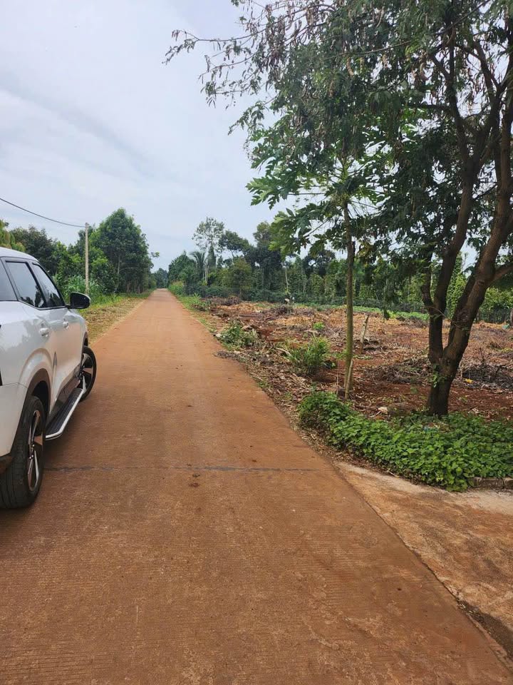 Đất nền Cư Suê, Cư M'gar 135m² giá 450 triệu - Đầu tư sinh lời hiệu quả!