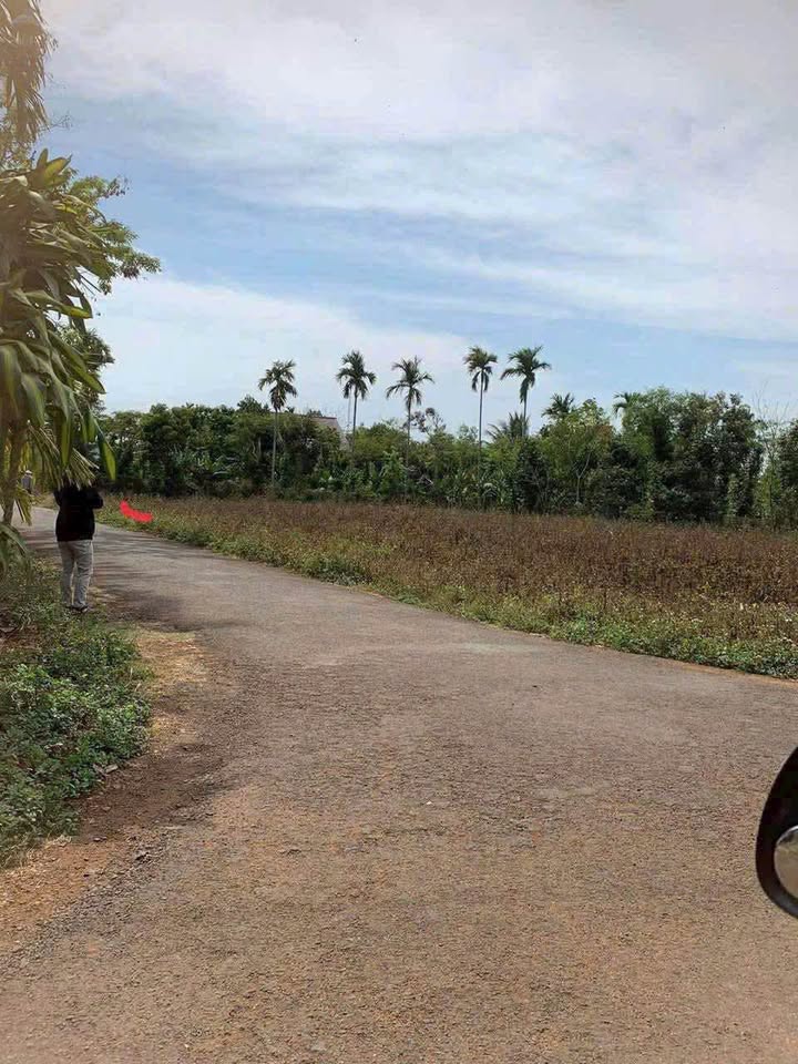 Đất thổ cư Hòa Thuận 113m² giá 950 triệu - Đường nhựa khu dân cư thông thoáng!