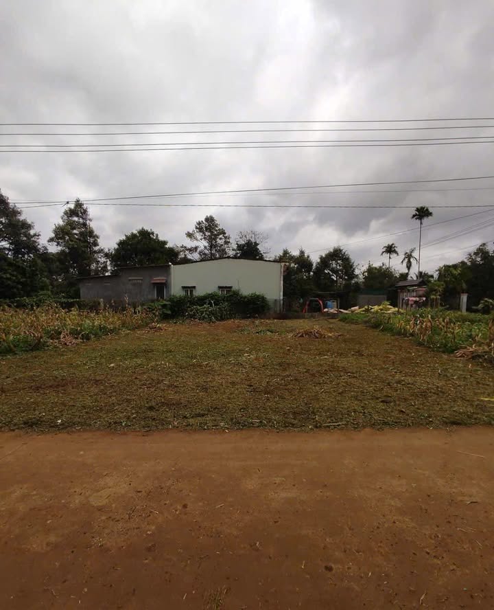 Đất thổ cư 190m² tại xã Cuôr Đăng, Cư M'gar, Đắk Lắk - Giá chỉ 700 triệu, cơ hội đầu tư tuyệt vời!