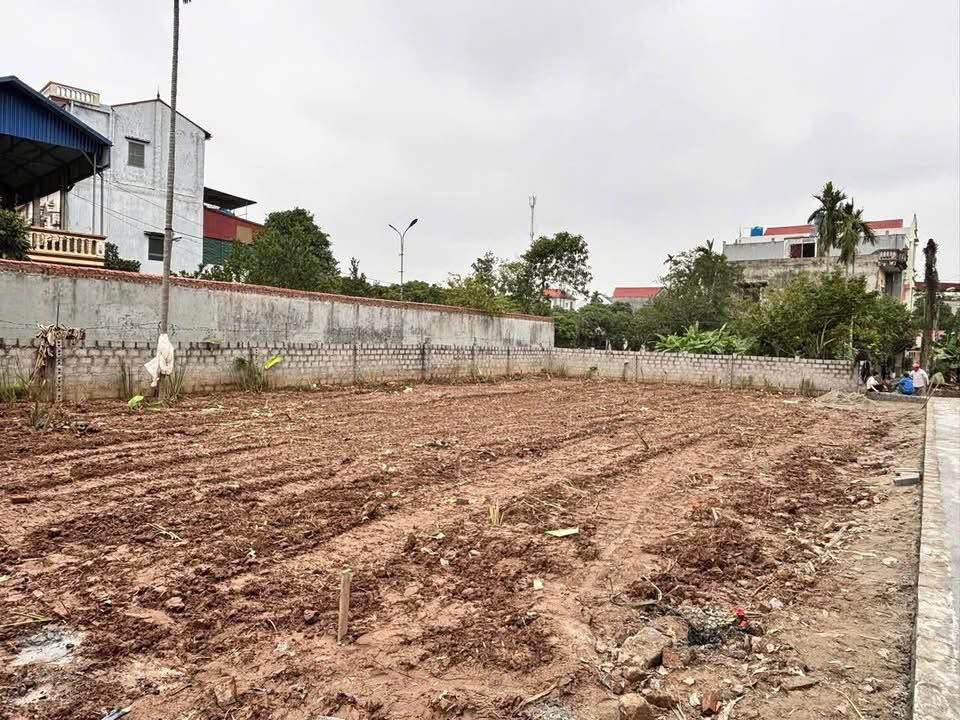 Lô đất Hồng Châu, Hưng Yên 100m² giá 1.5 tỷ - Vị trí đắc địa gần phố Hiến!