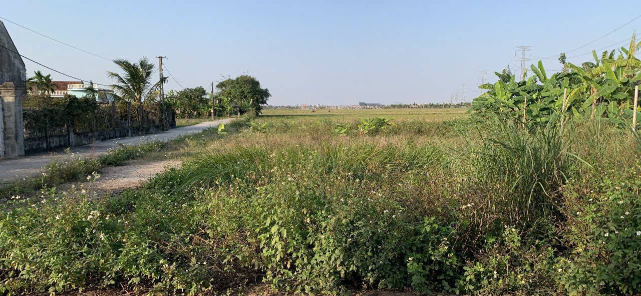 Lô đất Nghĩa Phú, Nghĩa Hưng 168m² giá chỉ 500 triệu - Cơ hội đầu tư tuyệt vời!