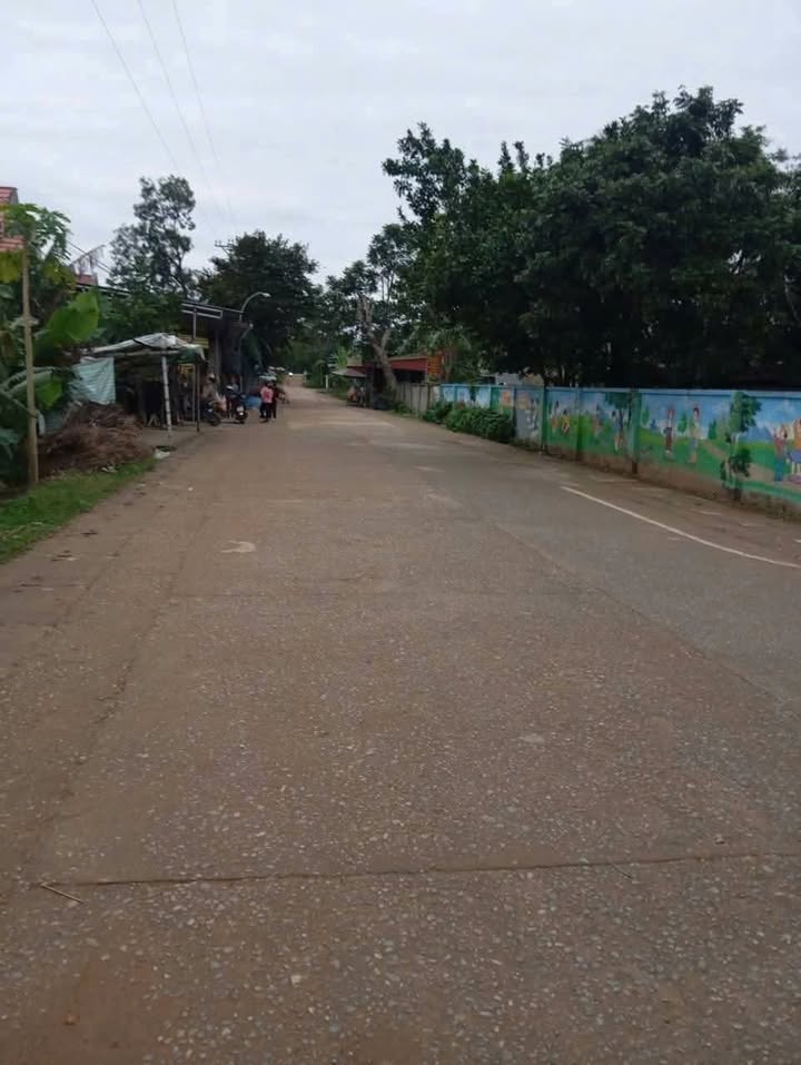 Đất nền Thọ Ngọc Triệu Sơn 270m² giá chỉ 4xx triệu - Vị trí đắc địa gần khu hành chính!