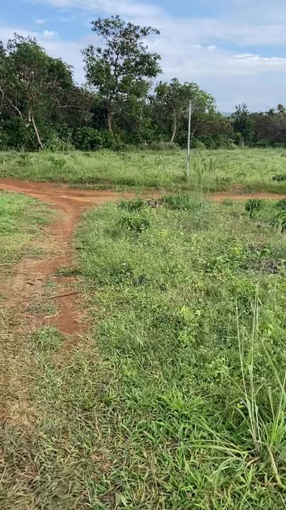 Đất cho thuê 80.000m² tại Đắk Ngo, Tuy Đức, Đắk Nông - Thời gian thuê linh hoạt 10 năm