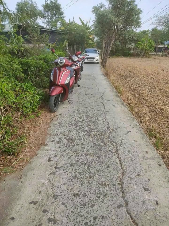 Đất nền Tân Trung, Gò Công Đông 250m² giá 490 triệu - Sổ hồng riêng sang tay ngay!