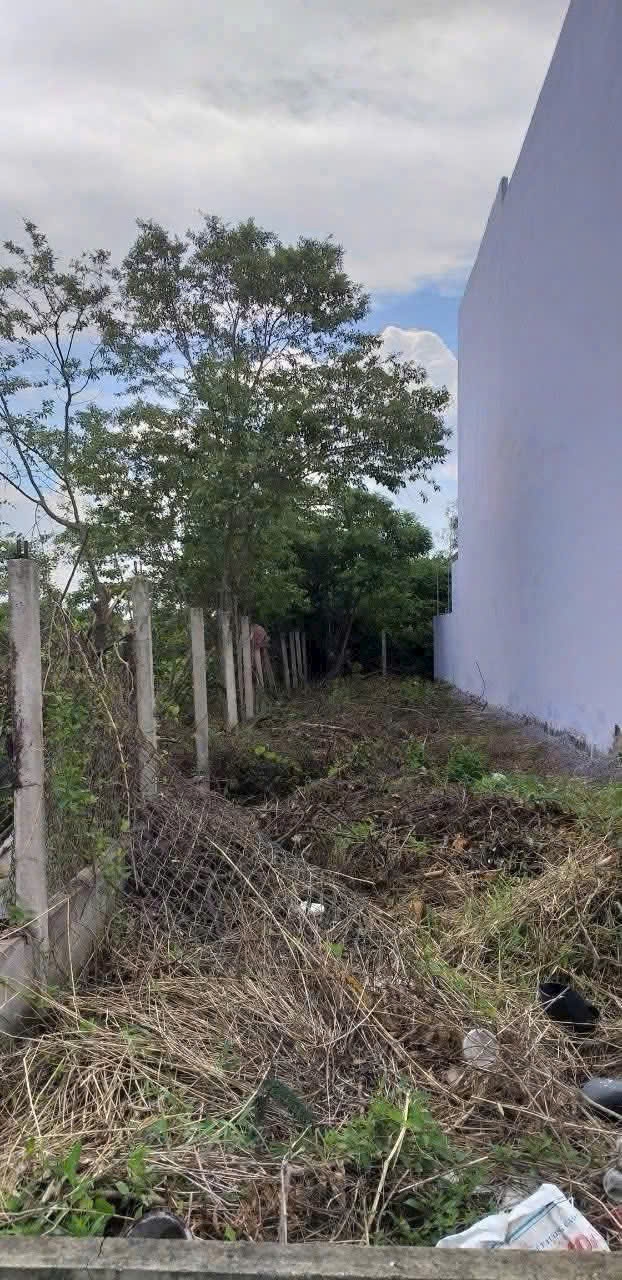 Đất thổ cư xã Phước Lý, Cần Giuộc 120m² giá 1,6 tỷ - Pháp lý rõ ràng, sát trường học!