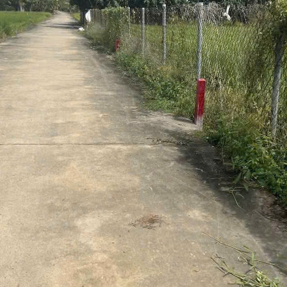 Bán 06 Lô Đất Tại Đường Hùng Vương, Vĩnh Thanh, Nhơn Trạch - Đầu Tư Sinh Lời!