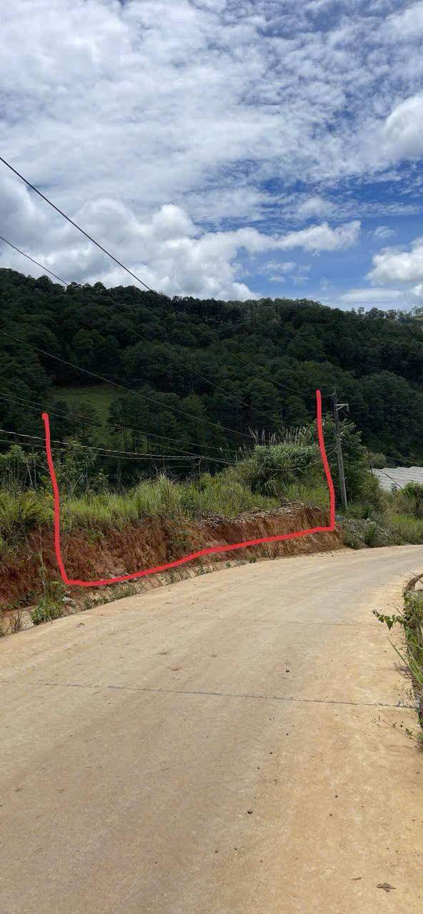 Đất CLN 2000m² Xã Đạ Sar, Lạc Dương - Giá 1.2 tỷ, Gần Khu Du Lịch Tháp 7 Tầng