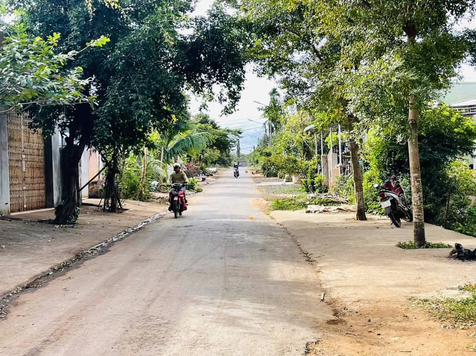 Đất nền mặt tiền đường nhựa Ea Kao 120.91m² giá 1.65 tỷ - Cơ hội đầu tư tuyệt vời!