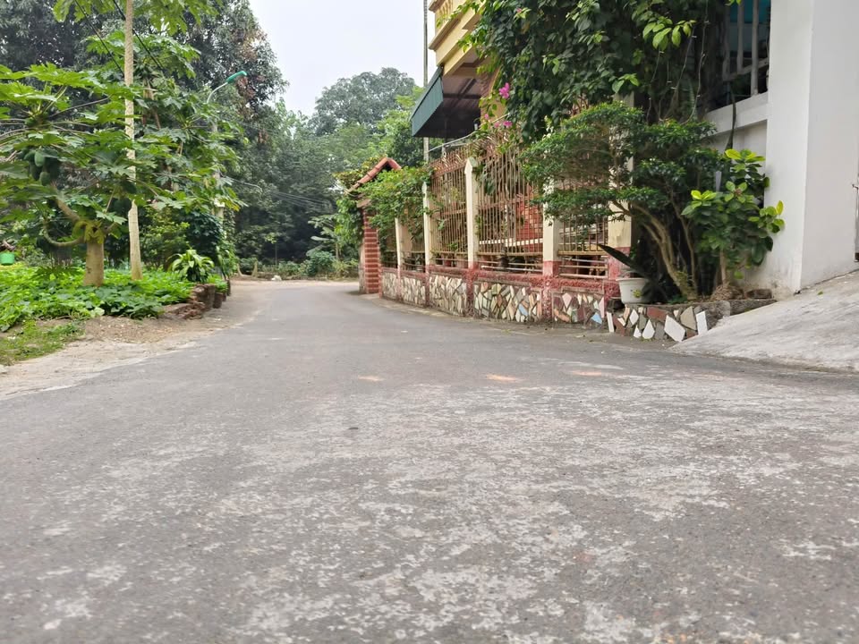 Đất thổ cư Đồng Tâm, Vĩnh Yên 103m² giá 1.4 tỷ - Vị trí đẹp, tiện lợi!